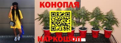 гидропоника Бугуруслан